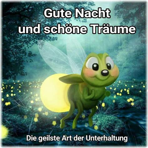 sprüche gute nacht lustig|gute nacht mein schatz.